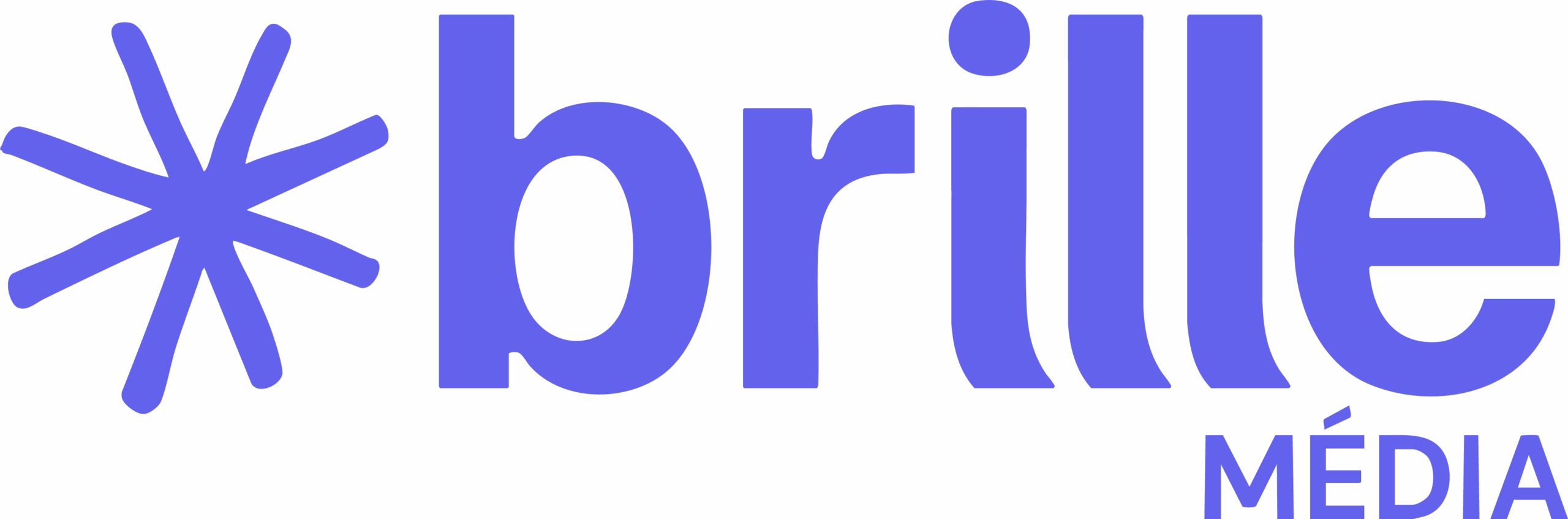 Brille